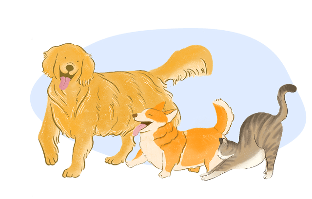 Dogs illustration